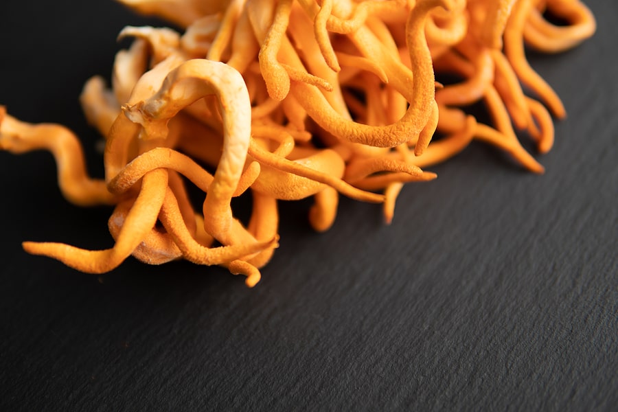 Cordyceps a čínská medicína