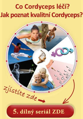 Cordyceps seriál